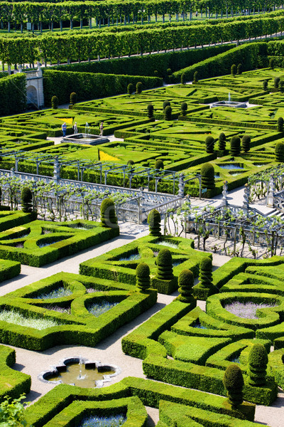 Villandry Castle's garden, Indre-et-Loire, Centre, France Stock photo © phbcz