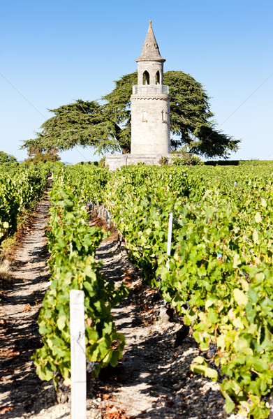 Chateau de la Tour, By, Bordeaux Region, France Stock photo © phbcz
