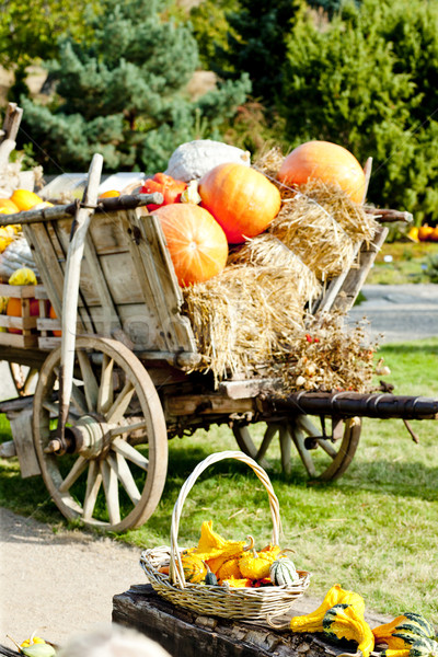 still life of pumpkins on cart Stock photo © phbcz