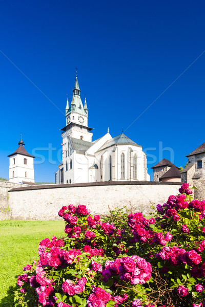 Stok fotoğraf: Kale · kilise · aziz · Slovakya · Bina · gül