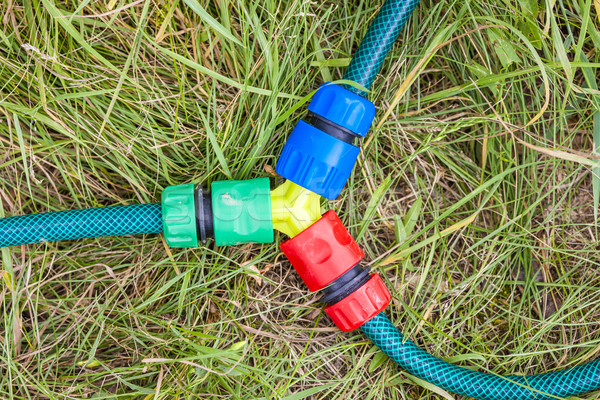 detail of hose in the garden Stock photo © phbcz