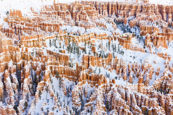Kanion parku zimą Utah USA krajobraz Zdjęcia stock © phbcz
