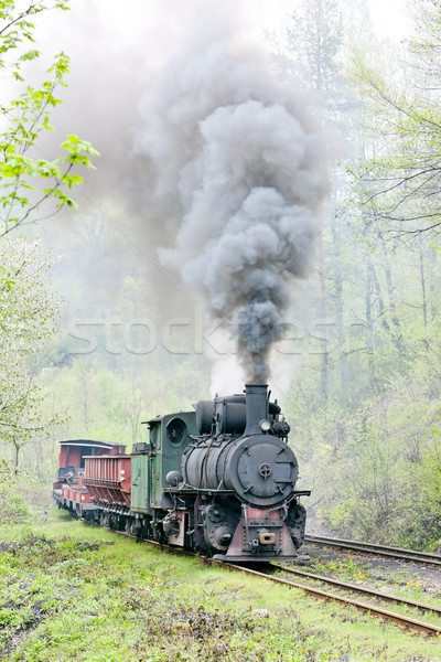 Dar demiryolu tren buhar açık havada Stok fotoğraf © phbcz