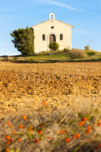 chapel with field, Plateau de Valensole, Provence, France Stock photo © phbcz