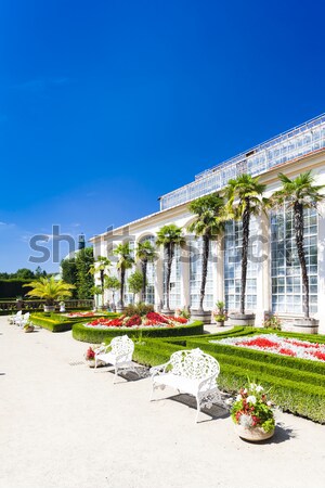 Jardim de flores palácio República Checa edifício palma viajar Foto stock © phbcz