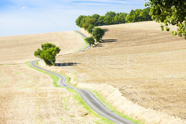 Foto stock: Campo · estrada · departamento · França · paisagem · planta