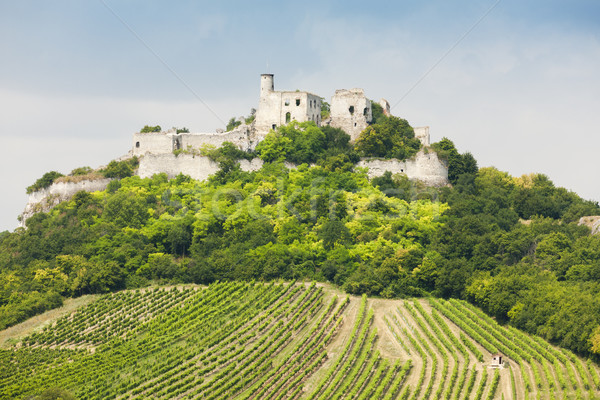 руин замок виноградник снизить Австрия здании Сток-фото © phbcz