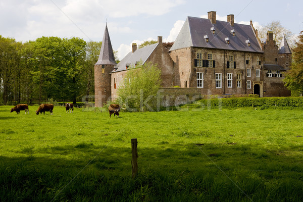 Holanda edifício arquitetura história vacas ao ar livre Foto stock © phbcz