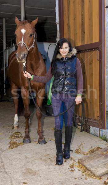 лошади стабильный женщины молодые Постоянный Сток-фото © phbcz