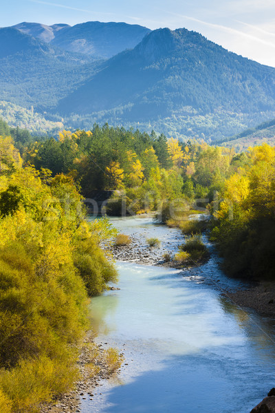 valley of river Verdon in autumn, Provence, France Stock photo © phbcz