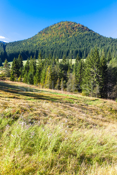 Nizke Tatry (Low Tatras), Slovakia Stock photo © phbcz