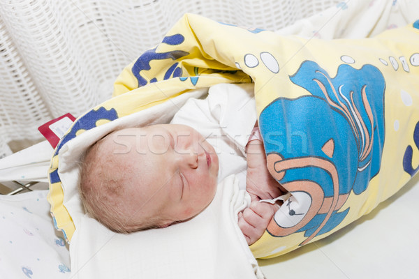 portrait of a newborn baby girl in maternal hospital Stock photo © phbcz