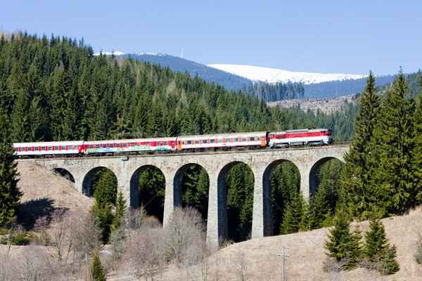 passenger train on railway viaduct near Telgart, Slovakia Stock photo © phbcz