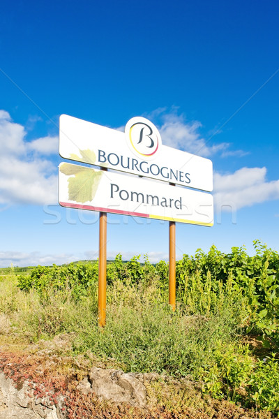 vineyards of Pommard, Burgundy, France Stock photo © phbcz