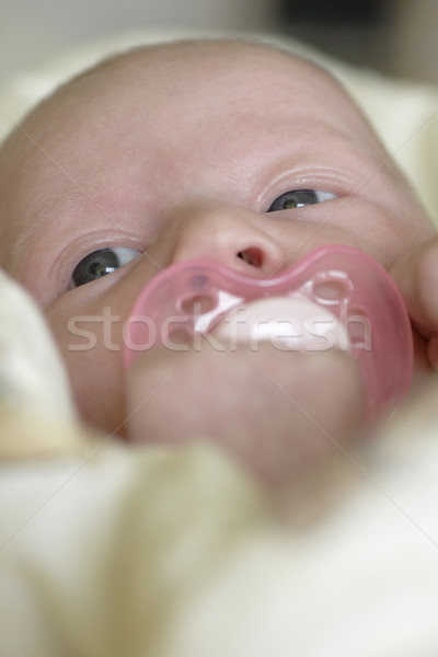 one month old baby Stock photo © phbcz