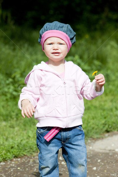 litlle girl on walk holding a flower Stock photo © phbcz