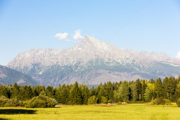 Krivan Mountain, Vysoke Tatry (High Tatras), Slovakia Stock photo © phbcz