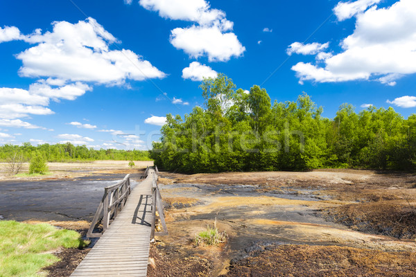 Natur Reserve Tschechische Republik Landschaft Europa Schweigen Stock foto © phbcz