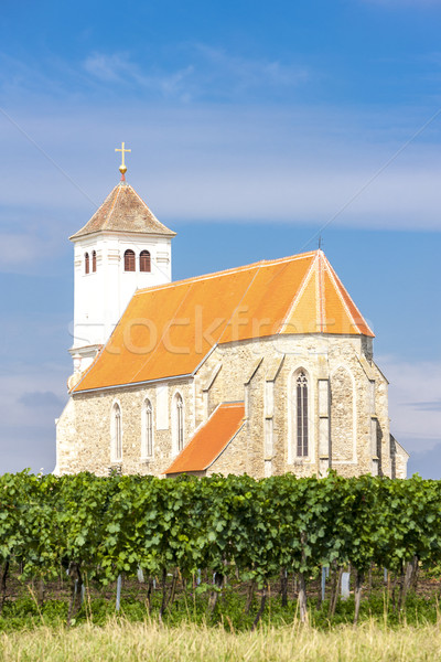 church with vineyard, Kirchenberg, Lower Austria, Austria Stock photo © phbcz