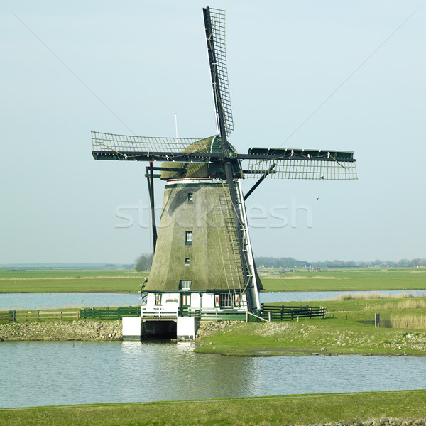windmill, Texel Island, Netherlands Stock photo © phbcz
