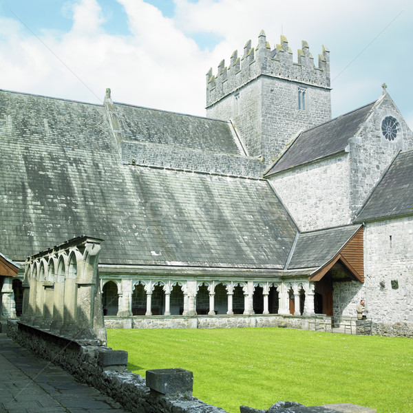 Abbazia settentrionale Irlanda costruzione architettura storia Foto d'archivio © phbcz