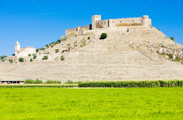 castle in Medellin, Badajoz Province, Extremadura, Spain Stock photo © phbcz