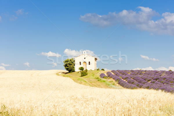 chapel with lavender and grain fields, Plateau de Valensole, Pro Stock photo © phbcz