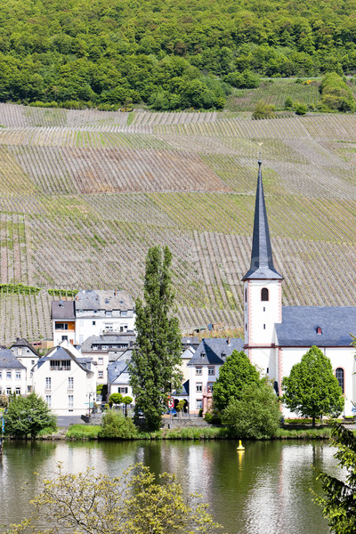 Piesport, Rhineland-Palatinate, Germany Stock photo © phbcz