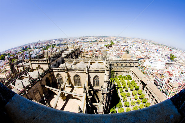 Cathedral of Seville view from La Giralda, Andalusia, Spain Stock photo © phbcz