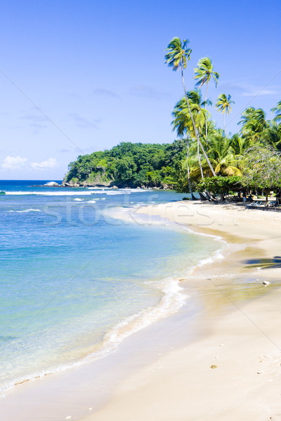 Mount Irvine Bay, Tobago Stock photo © phbcz