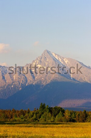 ストックフォト: 山 · 高い · スロバキア · 風景 · 山 · ヨーロッパ