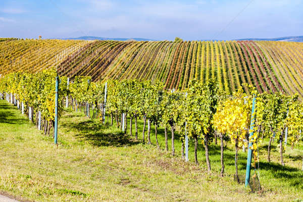 [[stock_photo]]: Vue · République · tchèque · paysage · automne · Europe