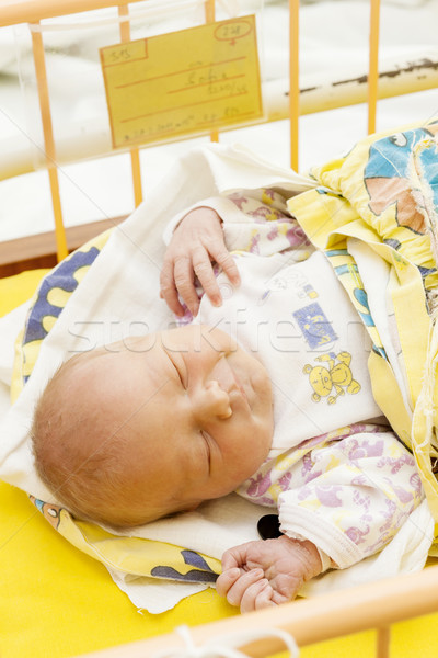 Stock foto: Porträt · neu · geboren · mütterlichen · Krankenhaus · Mädchen