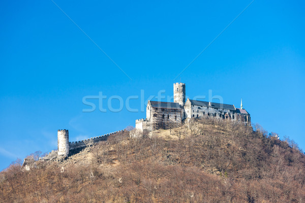 Burg Tschechische Republik Reise Architektur Europa Geschichte Stock foto © phbcz