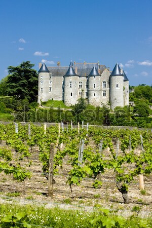 Clos Blanc De Vougeot Castle, Burgundy, France Stock photo © phbcz