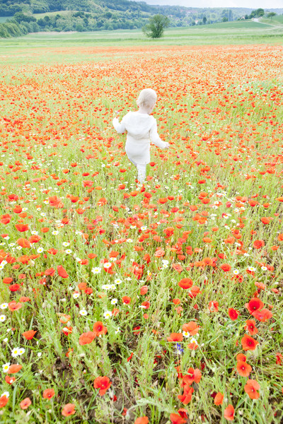 Nina verano pradera flor flor hierba Foto stock © phbcz
