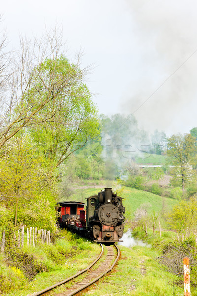 Schmal Kaliber Eisenbahn Dampf Freien Transport Stock foto © phbcz