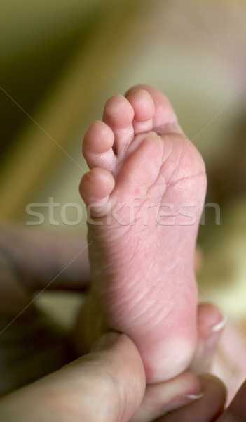 стороны ногу женщину семьи дети Сток-фото © phbcz