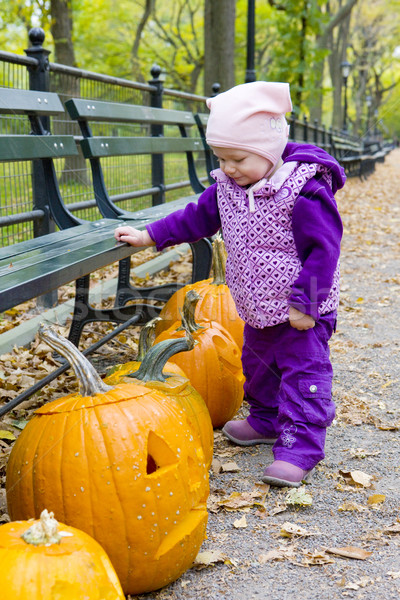 little girl in autumnal Central Park, New York City, USA Stock photo © phbcz