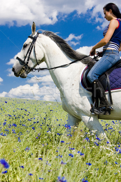 Caballo mujer animales jóvenes caballos Foto stock © phbcz