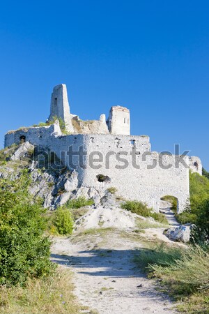 Ruines kasteel Slowakije gebouw architectuur geschiedenis Stockfoto © phbcz