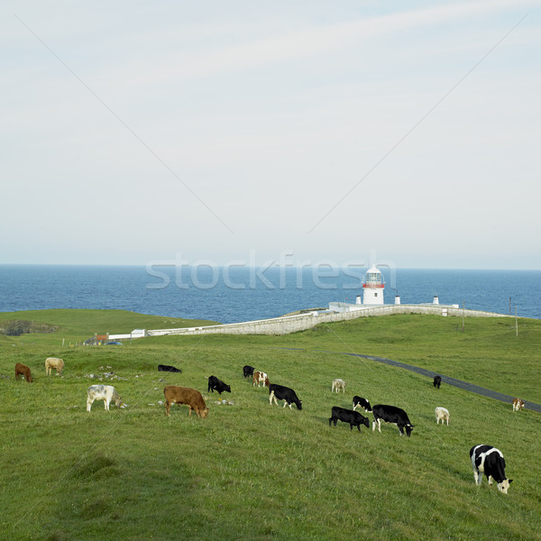 Stock photo: lighthouse, St. John's Point, County Donegal, Ireland