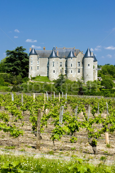 Luynes Castle with vineyard, Indre-et-Loire, Centre, France Stock photo © phbcz