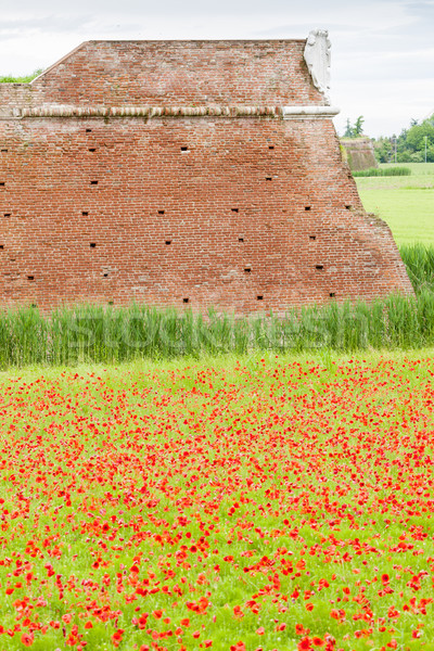 Fortification ville Italie fleur mur architecture Photo stock © phbcz