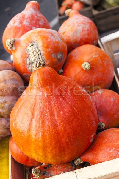 pumpkins, market in Forcalquier, Provence, France Stock photo © phbcz
