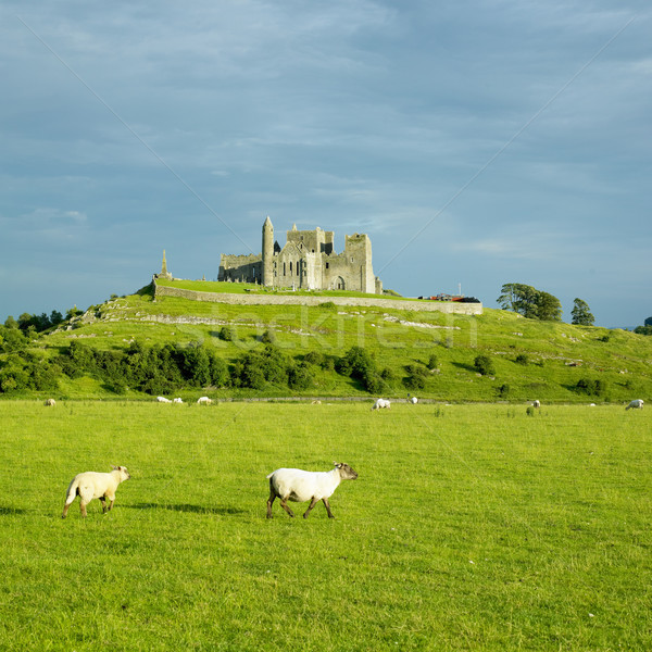 Rock of Cashel, County Tipperary, Ireland Stock photo © phbcz