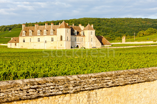Clos Blanc De Vougeot Castle, Burgundy, France Stock photo © phbcz