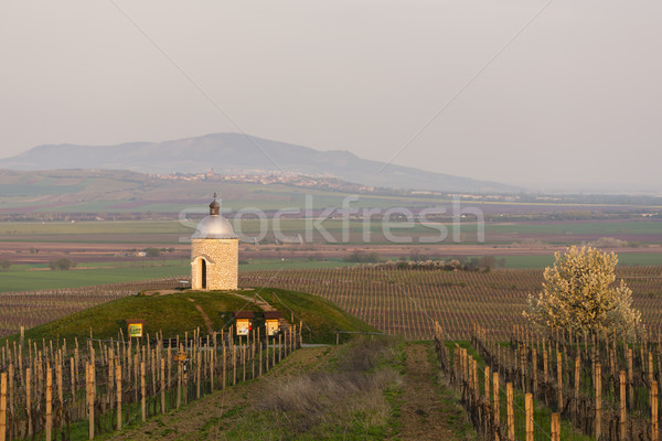 Kapel wijngaard Tsjechische Republiek voorjaar natuur reizen Stockfoto © phbcz
