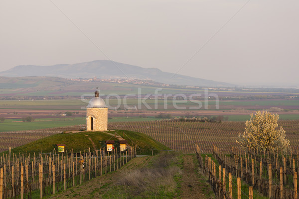 Chapelle vignoble République tchèque printemps nature Voyage [[stock_photo]] © phbcz