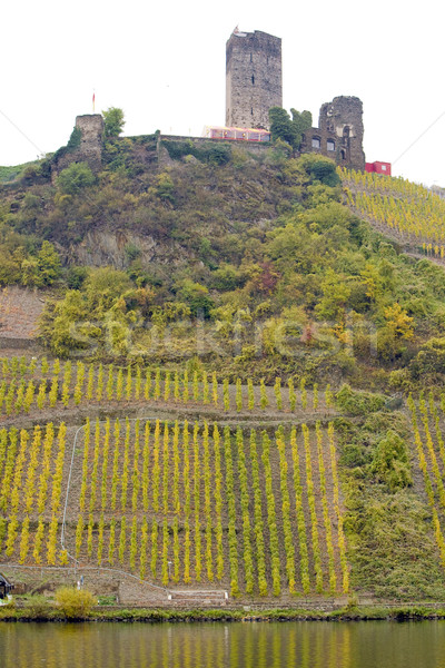 castle Beilstein, Rheinland Pfalz, Germany Stock photo © phbcz
